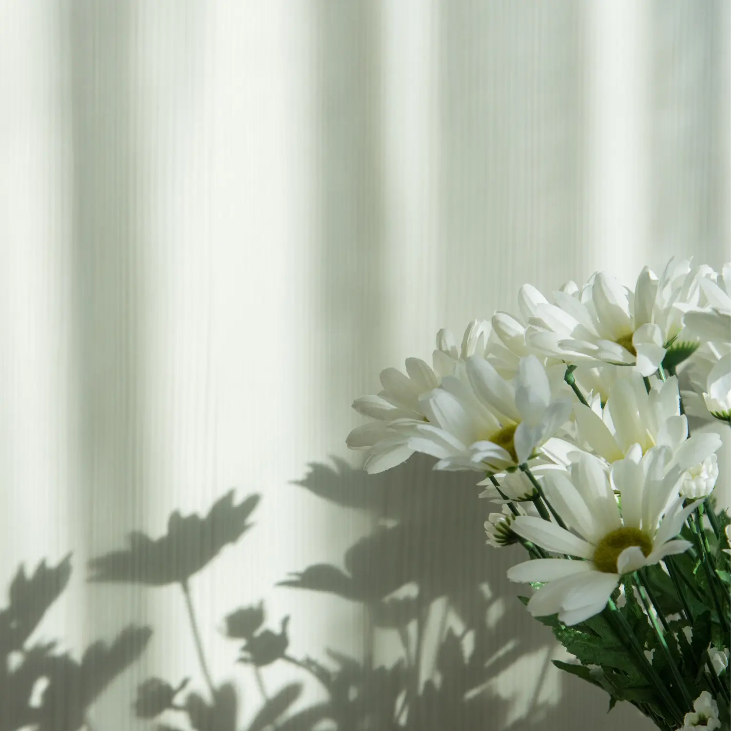 gallery-footer-4.webp